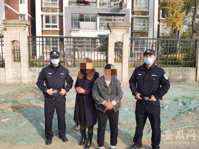 護(hù)欄網(wǎng)價(jià)格 護(hù)欄網(wǎng)價(jià)格