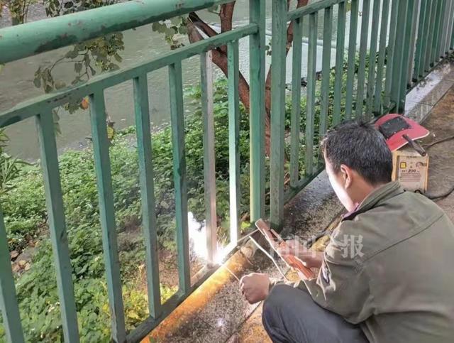 護(hù)欄網(wǎng)價格 護(hù)欄網(wǎng)價格