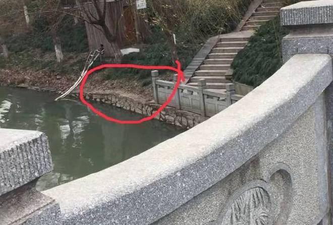 護欄網(wǎng)價格 護欄網(wǎng)價格