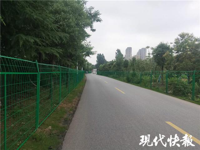 護欄網(wǎng)價格 護欄網(wǎng)價格