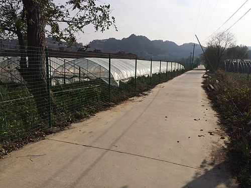 南京護(hù)欄網(wǎng)價(jià)格 南京護(hù)欄網(wǎng)價(jià)格