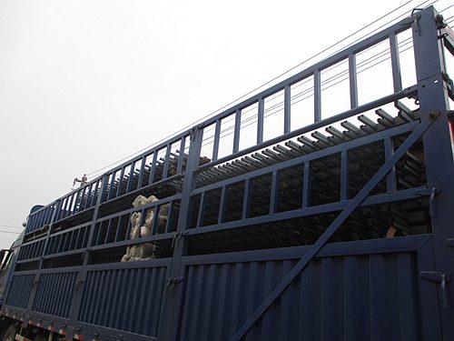 鋅鋼圍墻護(hù)欄 鋅鋼圍墻護(hù)欄